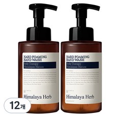 부케가르니 나드 포밍 핸드워시 라벤더머스크, 500ml, 12개
