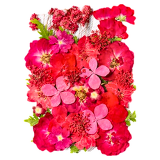 A-ONE 匯旺 真花壓花 大花包- 2入 1個, CC03紅樓夢園