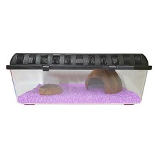 Rora Pet 寄居蟹飼養套組爬蟲農場4號, 丁香紫, 1套