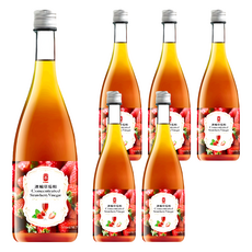 e.Ben 一本 濃縮草莓醋 玻璃瓶精裝盒, 500ml, 6瓶