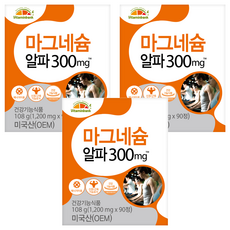 비타민뱅크 마그네슘 300mg, 90정, 3개
