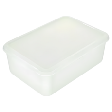 KEYWAY 小島零下30°C保鮮盒, 1個, 1個