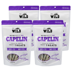 에프디와일드 동결건조 트릿간식 봉지형, 열빙어, 80g, 4개