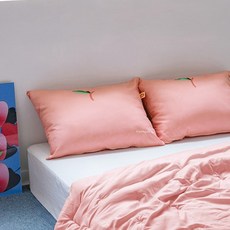 더자리 아임프룻 항균 베개커버