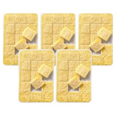 실리쿡 마늘칸칸용기, 5개