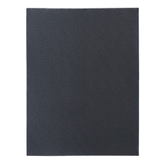 coway 愛濾屋 AP-1009CH 活性碳濾網 高效過濾PM2.5 HEPA濾芯 去除異味, 1個