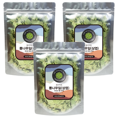 동이약초 뽕나무 잎 상엽, 150g, 3개