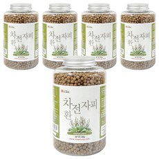 갑당약초 차전자피환, 400g, 5개
