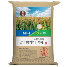 2025년산 햅쌀 곰곰x농협 소중한 우리쌀 경기미 추청, 10kg, 1개