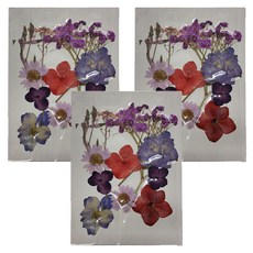 A-ONE 匯旺 真花壓花 小花包-春光明媚 AA01，3入，1個