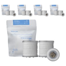 퓨어썸 여행용 리필필터 2p, 5개, 프로