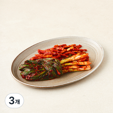 도들샘 파김치, 300g, 3개