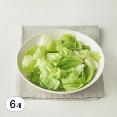 팜에이트 무농약 인증 스마트팜 손질 양상추, 250g, 1개입, 6개