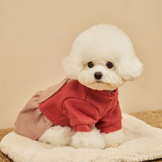 petit dog Melong毛呢連身裙 DWO049, 單一顏色