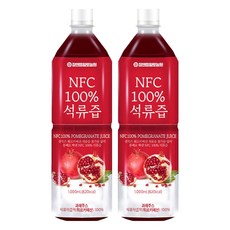 참앤들황토농원 NFC 착즙원액 석류즙, 1L