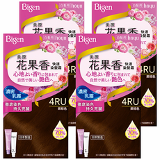 Bigen 美源花果香快速染髮霜 濃密乳霜質地, 4RU紫棕色, 4盒