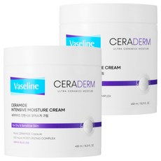 애경바세린 세라덤 인텐시브 모이스처 바디크림, 450ml, 2개