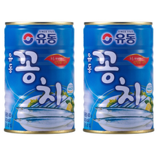 유동 꽁치 통조림, 400g, 2개