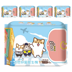 Besties 貝絲蒂 日用型涼感抑菌衛生棉 護翼型, 24.5cm, 8片, 5包