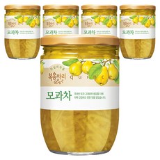 복음자리 모과차, 620g, 1개입, 5개
