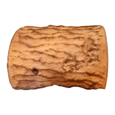 WEIYITER 維益特 台灣公司貨 水龜角蛙造景浮島 32 x 20cm, 1個