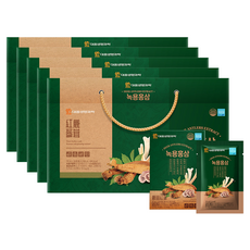 대웅생명과학 녹용 홍삼, 2.1L, 5개