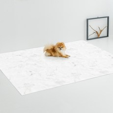 디팡 반려견 펫플레이 매트 러그타입, 마블화이트, 1개