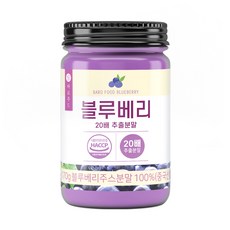 바로푸드 블루베리 20배 추출분말, 170g, 1개
