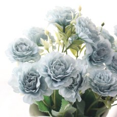 IBERIS Dawoo F&G 粉彩迷你大麗花束 5入 x 2件, 藍色