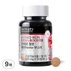 인테로 철분 헤마 부스터 45g, 90정, 9개