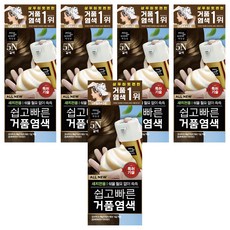 미쟝센 올뉴 쉽고 빠른 거품 새치전용 염모제, 5N갈색, 5개