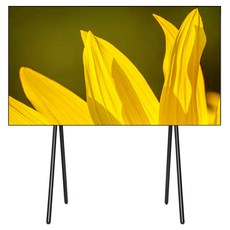 EDGE WALL Arte 電視支架 EdgeP Arte, 1個