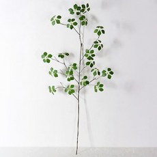 앙플랜트 조화 엔카이셔스 으름나무, L(120cm), 1개