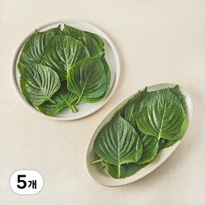국내산 친환경 깻잎, 100g, 5개