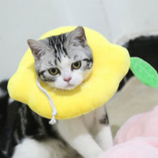 드림포펫 칼리 반려동물 넥카라, A06, 1개