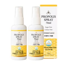 케어니즈 프로폴리스 스프레이, 70ml, 2개