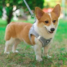 DING DONG PET 狗狗舒適網眼胸背帶組, 灰色
