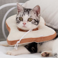 Dream For Pet Kalri寵物防舔圈 A03 M, 1個