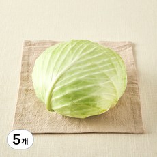 국내산 친환경 양배추, 1통, 5개