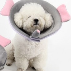 Dream for Pet Amy 寵物頭套 A04 XXL, 1個