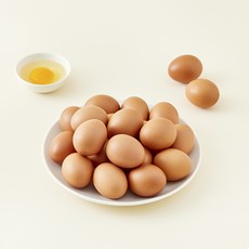 가농 오늘낳은 농장직송 1+ 등급 초란, 25구, 1개