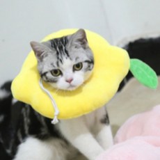 드림포펫 칼리 반려동물 넥카라 A06 M, 1개