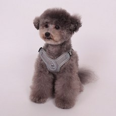 DING DONG PET 狗狗用網眼X型胸背帶, 灰色