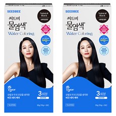 SEEDBEE 頭皮養護草本水染髮, 2盒, Natural Black