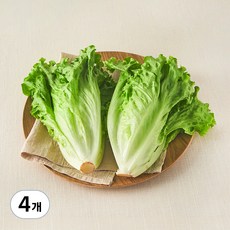 친환경 포기로메인, 300g, 4개
