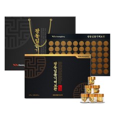 광동 일품기력보환 60환 + 쇼핑백 세트, 225g, 1개