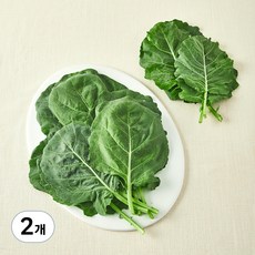 국내산 친환경 케일, 200g, 2개