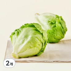 팜에이트 무농약 인증 Greenery+ 스마트팜 양상추, 400g, 2개입, 2개