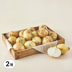 국내산 유기농 양파, 3kg, 2개