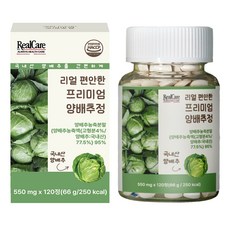 리얼케어 리얼 편안한 프리미엄 양배추정 양배추농축분말 양배추농축액, 1개, 120정 1개, 120정